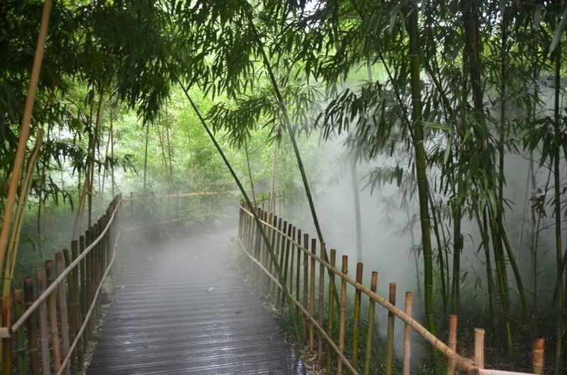 園林景觀噴霧